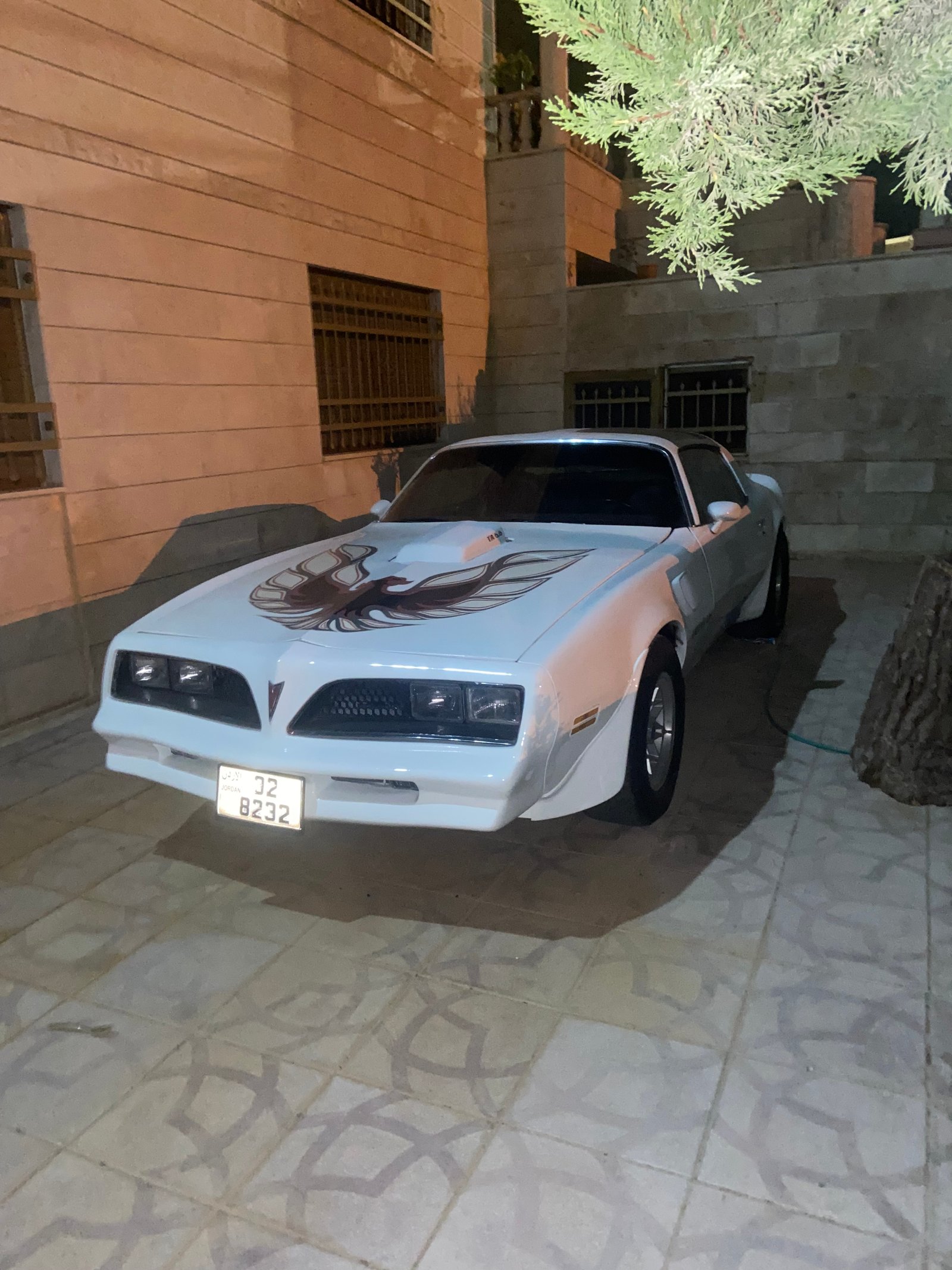 pontiac  trans am fire bird (1976)