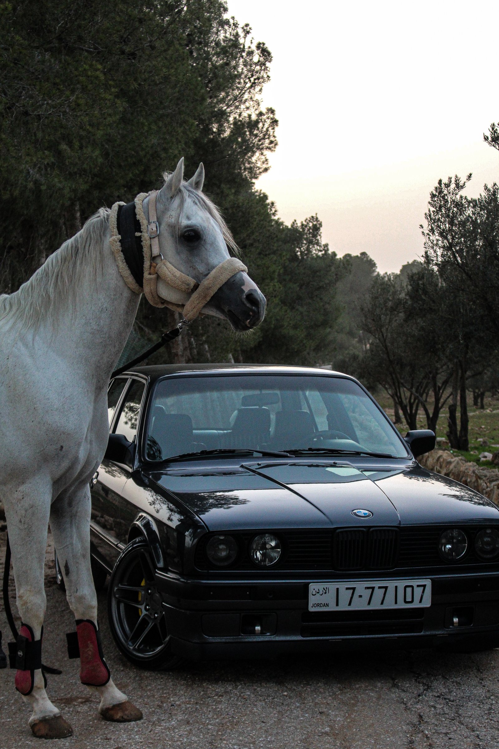 BMW E30 (1989)