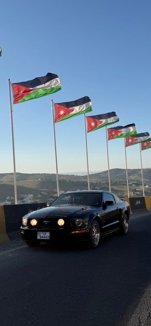 FORD Mustang  (2008)