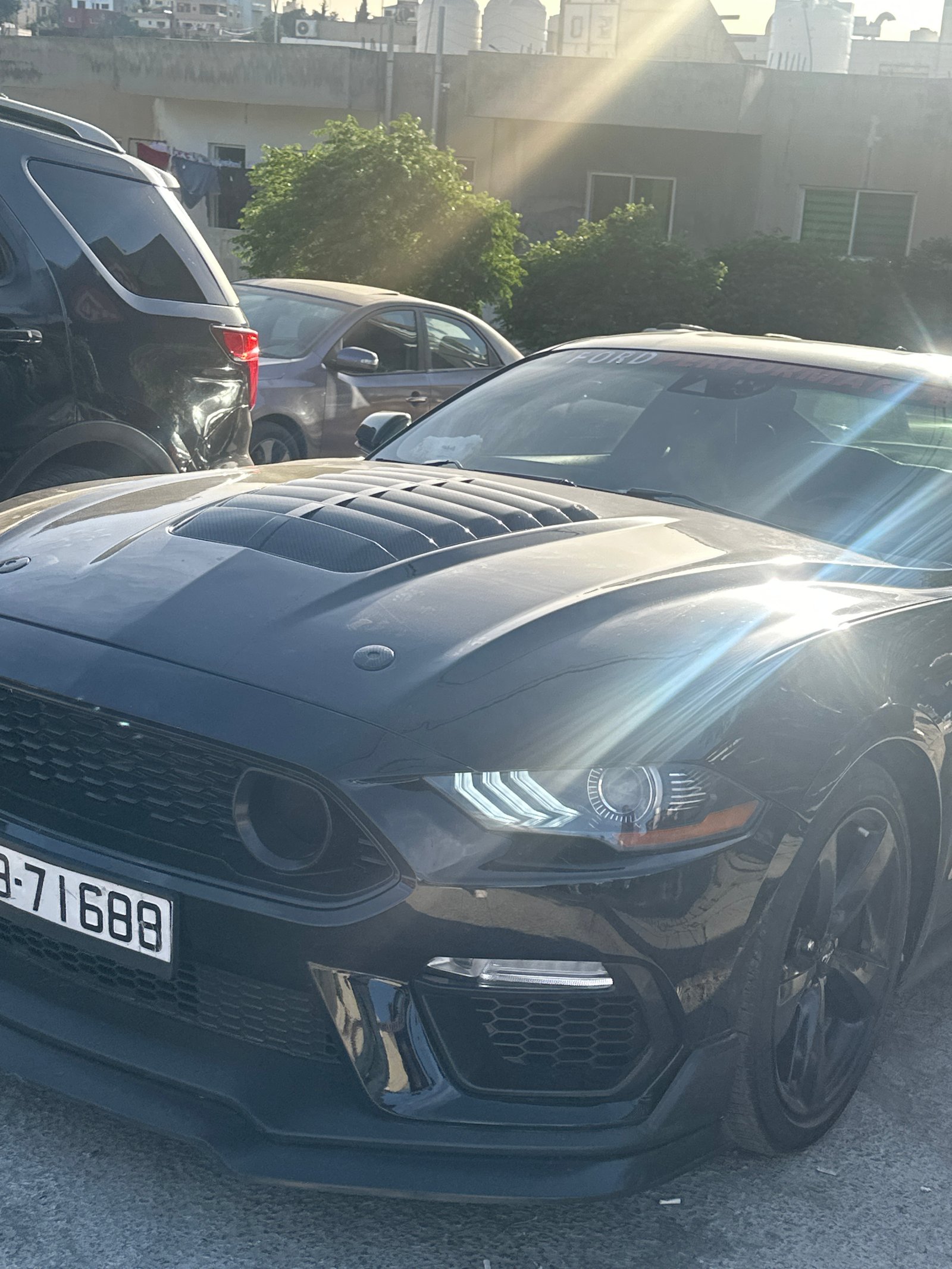 Mustang S (2021)
